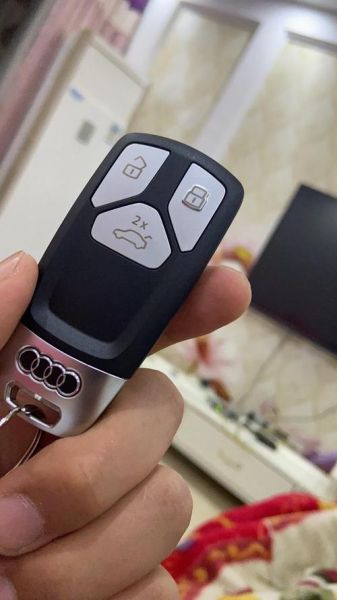 奥迪两把钥匙有什么区别？
