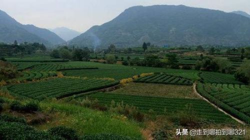 如何骑行在地图上成一个心形？