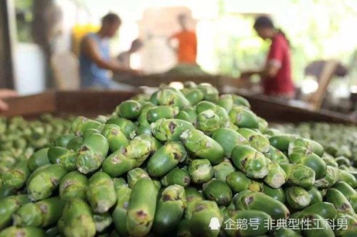 夜宵摊卖槟榔多少钱一个月？
