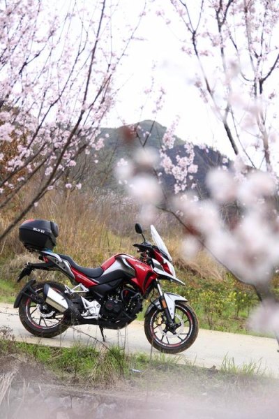 国四猛鸷190X什么颜色耐看？