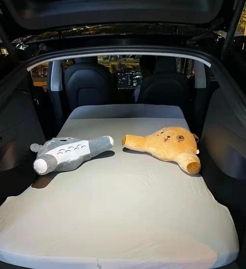 特斯拉3后排能放倒当床吗？