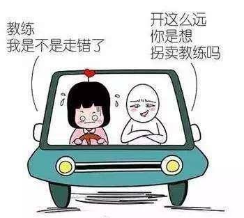 你的驾考经历是美好的还是恐怖的？