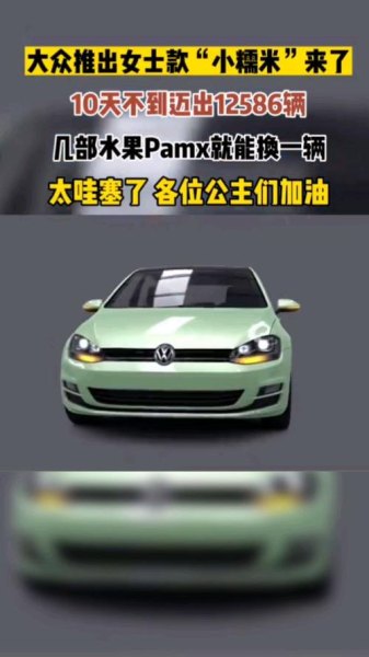 polo小糯米上市时间？