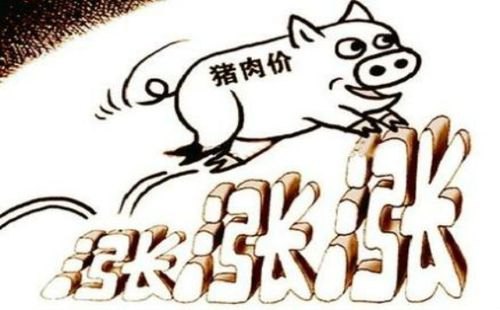 2022年11月猪肉价格会降下来吗？上涨的原因是什么？