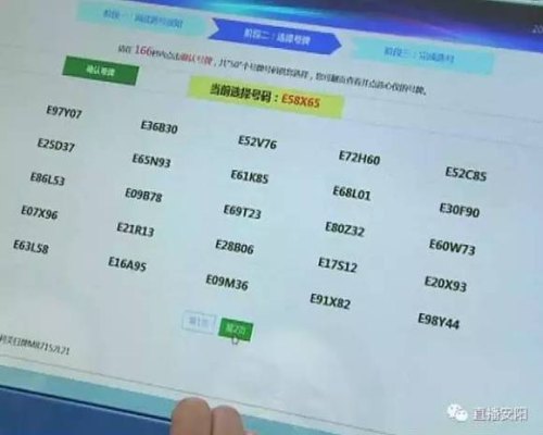 如何查询车牌号及姓名？