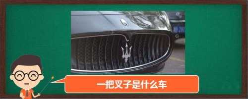 国产像叉子的车标是什么车？