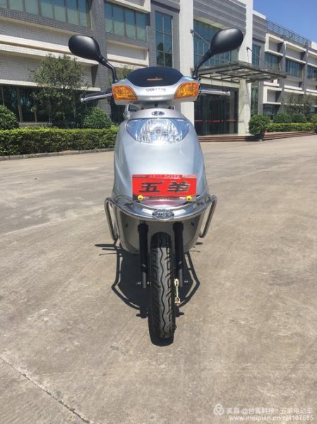 五羊和立马哪个耐用？