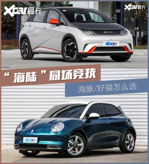 比亚迪海豚车和好猫哪个更安全？