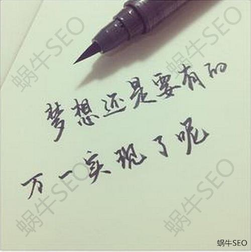 我想问问大家都有什么梦想，现实一点的，能实现的那种？