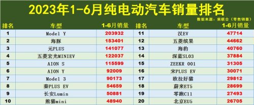 纯电动车销量排行榜？