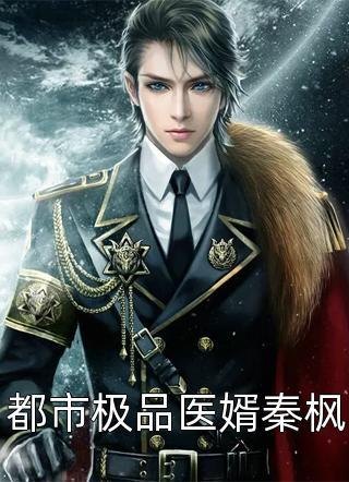 男主是秦枫的小说？