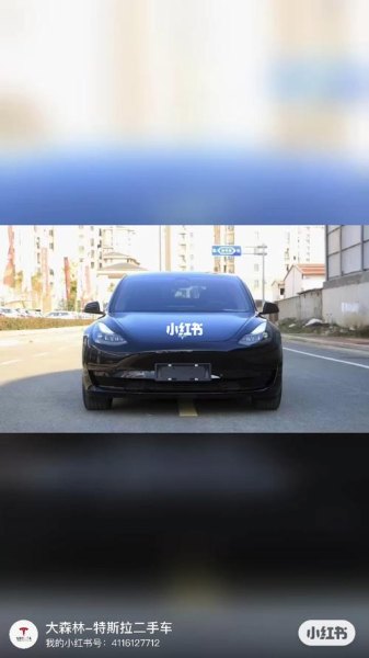 准备再买一辆车，model3，但是网上评论两极分化，为啥？