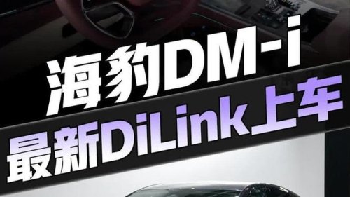 海豹dmi是3.0吗？