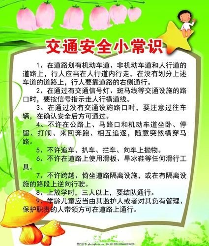 交通安全须知“二十不”是什么？