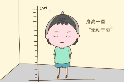 本人15岁男生，身高才1.61米就差不多已经开始发育了，有点自卑，还能不能长高，或者有什么方法，谢谢？