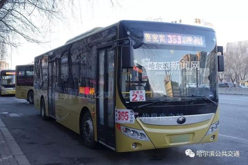 哈尔滨跑得最不好的公交车是哪路？