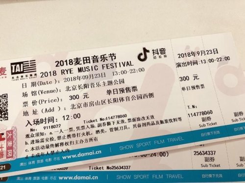 音乐节大巴票什么意思？