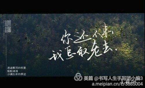你还没来我怎敢老去出自哪里？