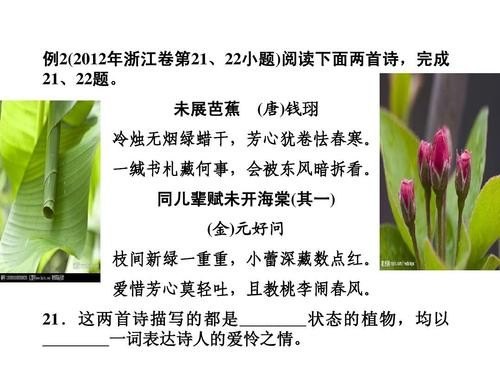 其一犹坐于前的其是什么意思？