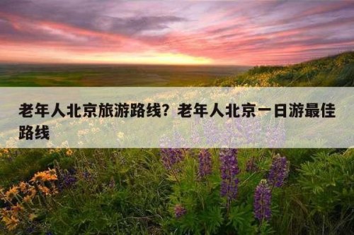 去北京旅游是自己开车去方便还是坐车方便？