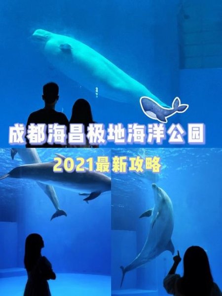 成都华阳海洋馆限行吗？