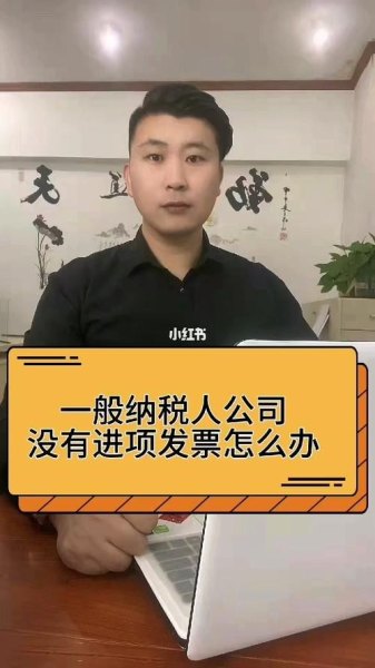 一般纳税人企业全额缴税没有进项违法吗？要注意什么？