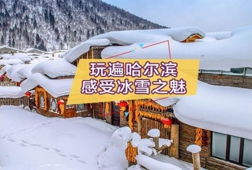 哈尔滨到雪乡的旅游车每天几点出发？