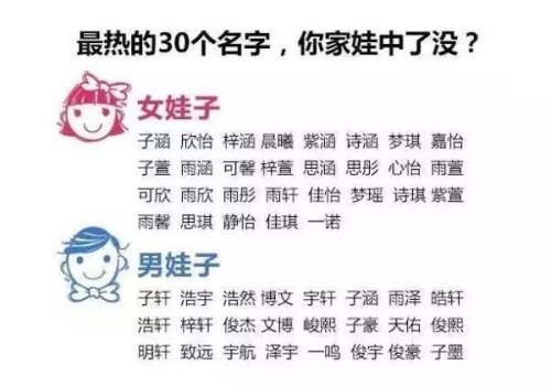 你的“网络名字”有什么含义吗？还是有什么特殊的意义？