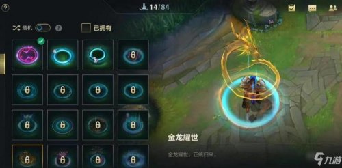 大金龙是怎么获得的？