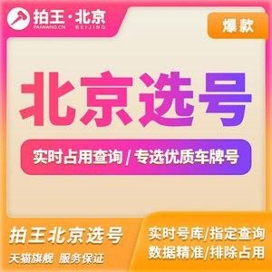 北京新车选号自编演示