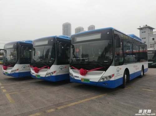 阜阳公交车司机招聘条件？