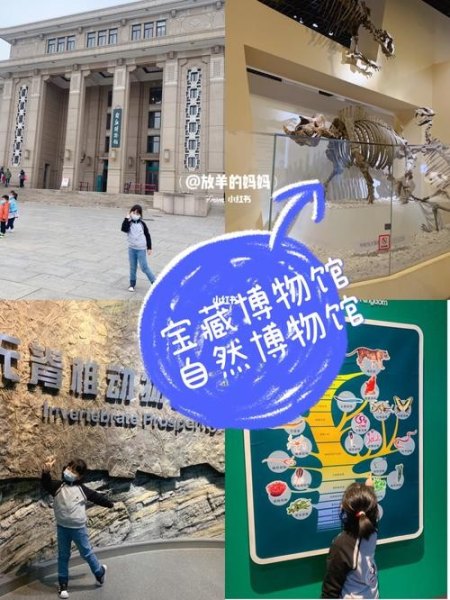 吉林省自然博物馆网上订票？