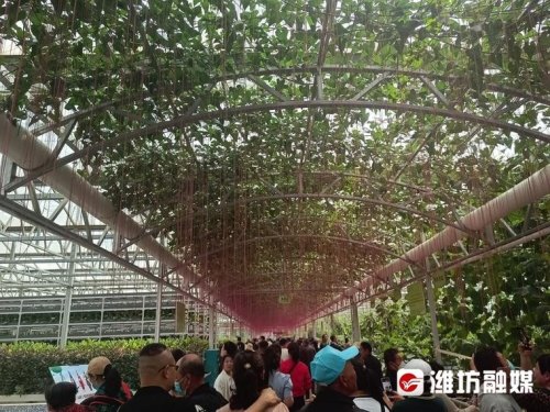 菜博会晚上几点关门？