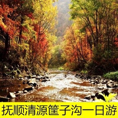 在抚顺坐什么车去筐子沟？