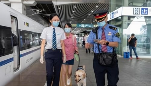 高铁可以带宠物吗在线急？