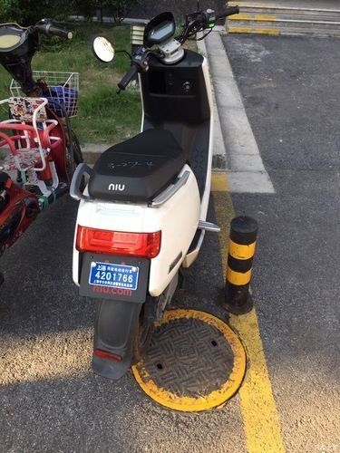 16岁可以给小牛上牌吗？