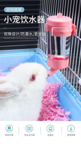 兔子怎么喝水最快？