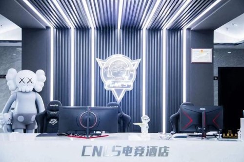 新开的电竞主题酒店还有陪玩功能，对此你怎么看？