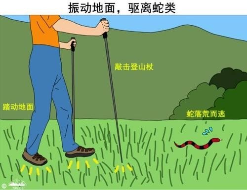 经常在野外如何防蛇？