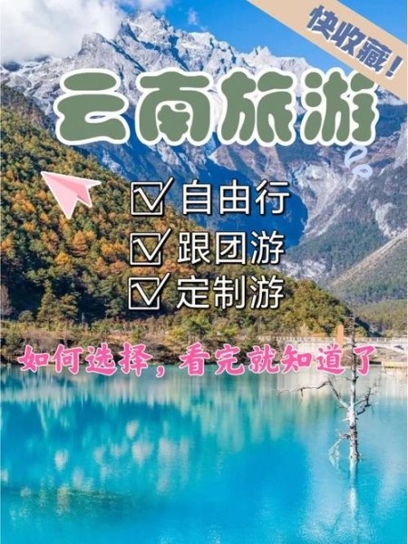 保定去云南报团还是自己去好？
