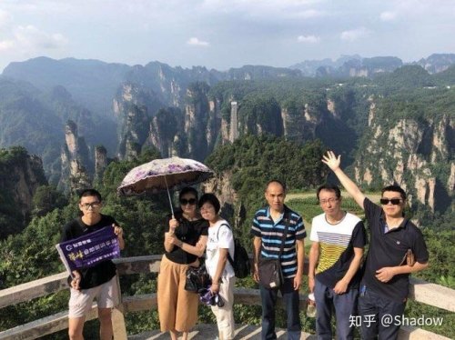 想带80岁的老母亲出趟国，是自由行，还是跟团游，那种方式好一些？