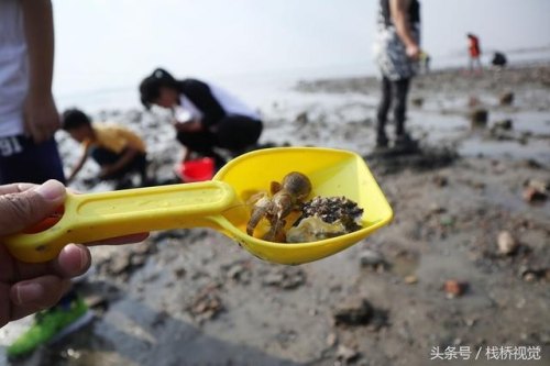 黄岛适合带孩子赶海的地方？