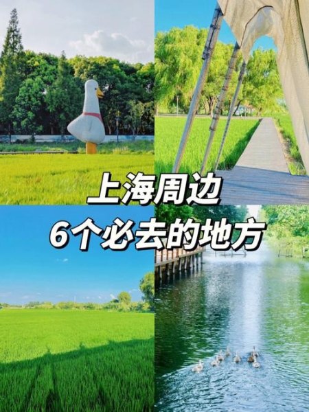 过年六天假，想要在上海周边游，有老人可以选择哪些游玩方式？不能太累？