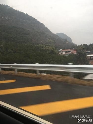 回来家要200公里，你愿意坐动车，还是更愿意自己开车回家？为什么？