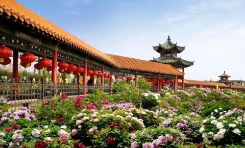 菏泽自驾游5个必去景点推荐？