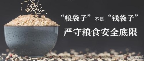 一袋粮食的故事梗概？