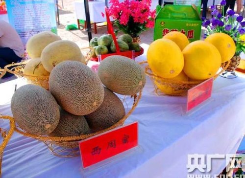 去新疆旅游吃过当地的农产品，可以说是天下第一了，有谁知农产品口味为什么这么好？