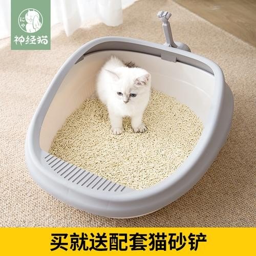 外出三天，想把猫寄养在朋友家，需要把猫砂盆一起带过去吗？