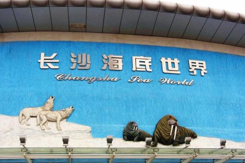 离长沙站近的好玩的地方？