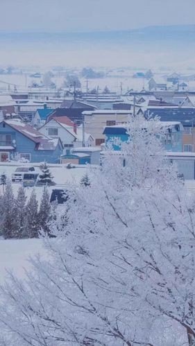 你喜欢雪吗？为什么？